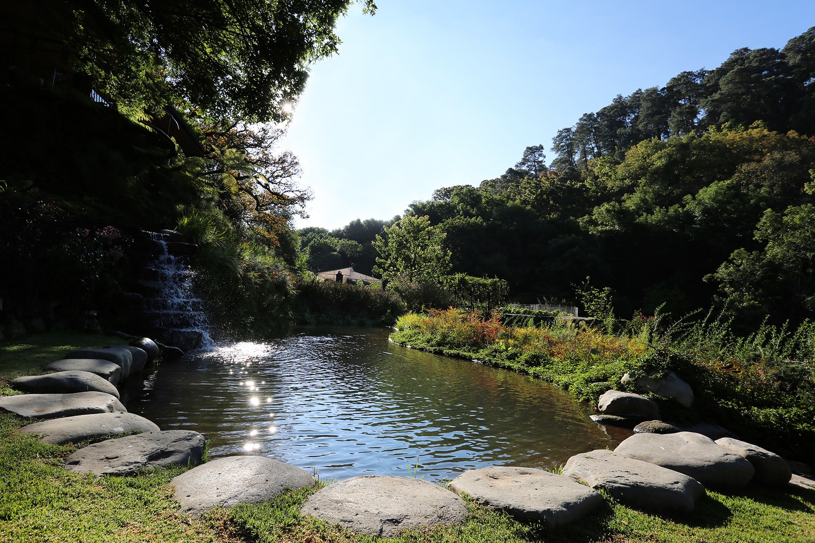 Jardín de agua con cascada y piedras volcánicas, Valle de Bravo