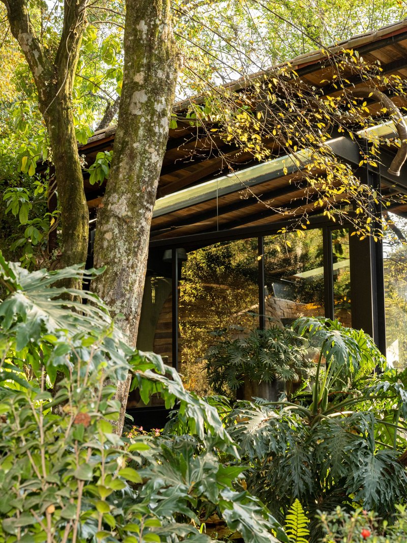 Casa de cristal integrada al jardín silvestre, Valle de Bravo