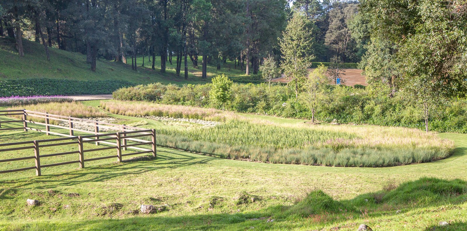 Espacios de legado familiar — proyecto de paisaje ConceptoQ en Valle de Bravo
