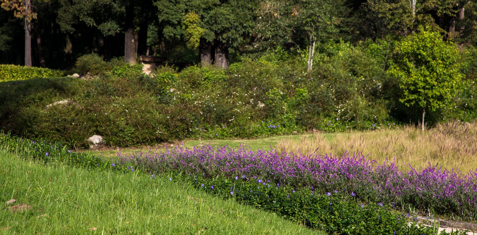 Sofisticación consciente — proyecto de paisaje ConceptoQ en Valle de Bravo