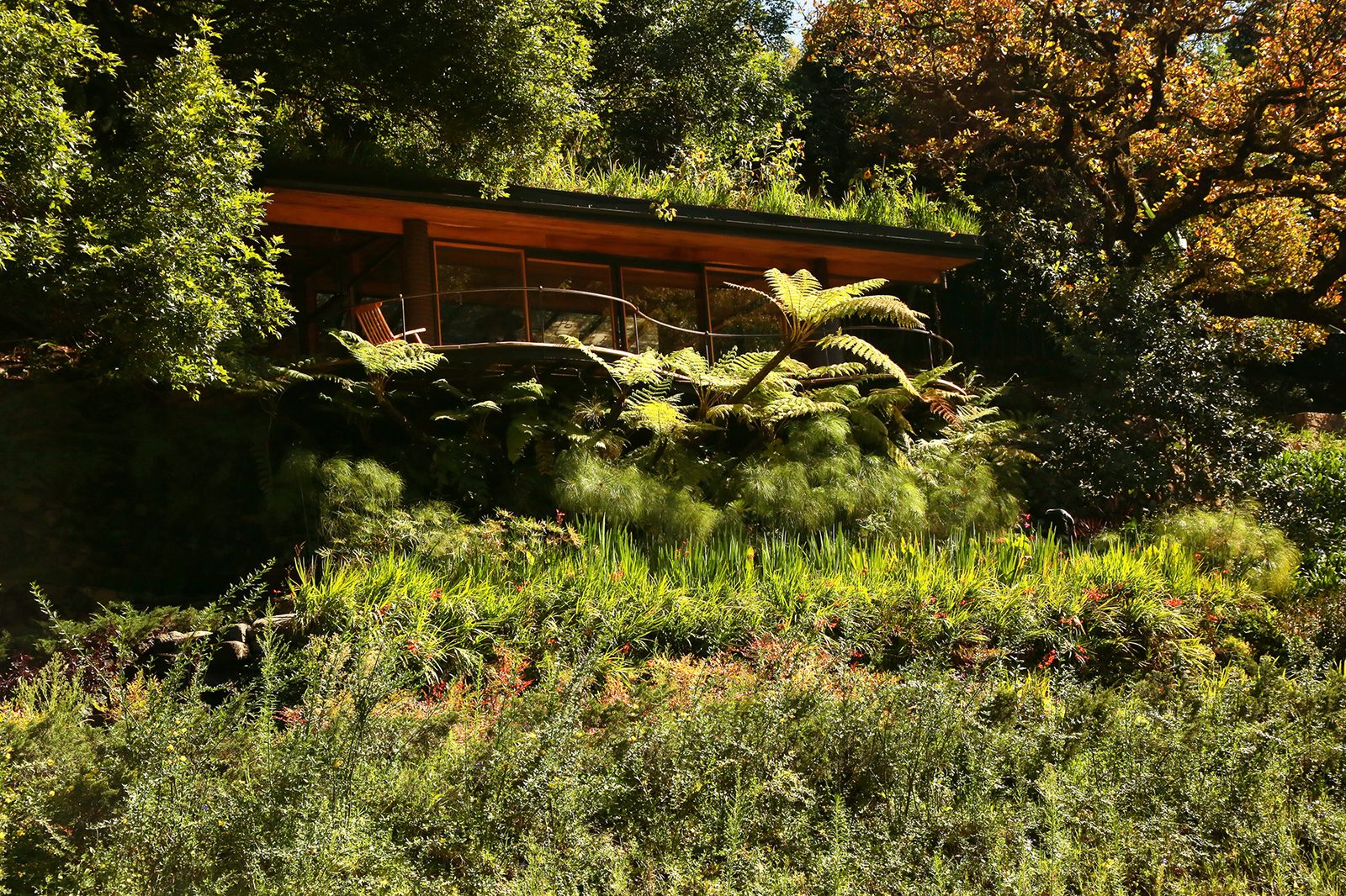 Ecosistemas regenerativos — proyecto de paisaje ConceptoQ en Valle de Bravo